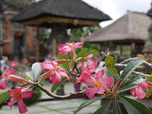 Bali, Indonesia Photo Gallery