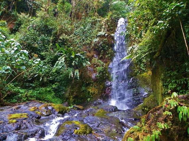 Rainy Season in Costa Rica